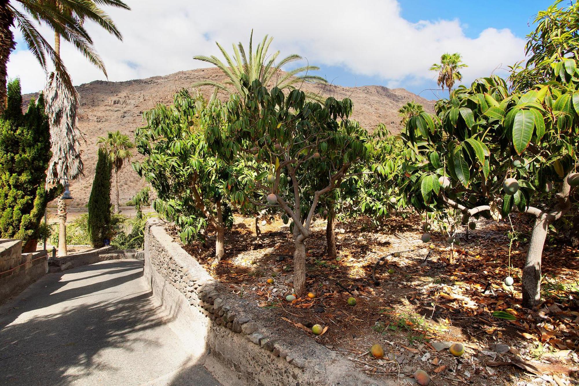 Casa Paraiso Del Molinero Villa Mogán Eksteriør billede